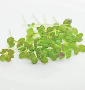 Mustard Microgreens Sprouts - 50G