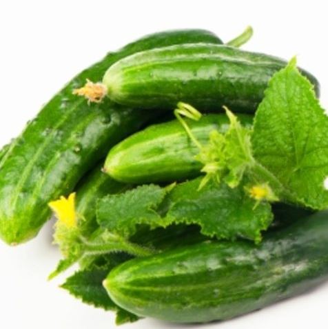 Cucumber - Marketmore 76 Organic (Seeds)