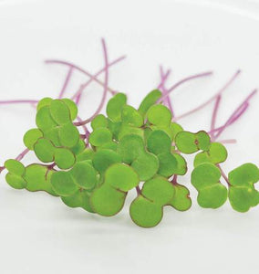 Kale Microgreen Sprouts - 50 gm