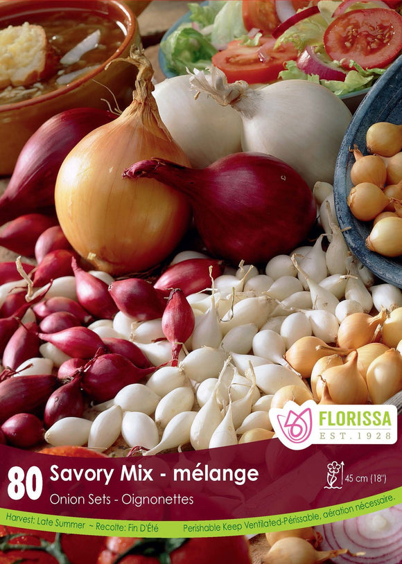 Onion Bulbs - Mixed Pkg of 80