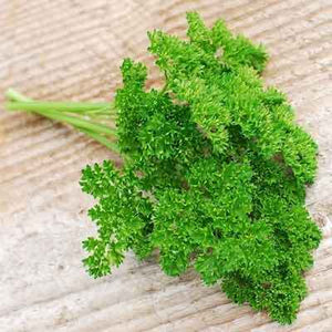 Parsley - Forest Green (Seeds)