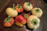 Pepper - Alma Paprica (Seeds)