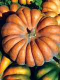 Pumpkin - Musquee de Provence (Seeds)