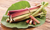 Rhubarb - Victoria (Seeds)