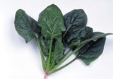 Spinach - Imperial Green Hybrid (Seeds)