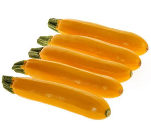 Squash - Golden Zucchini Organic (Seeds)