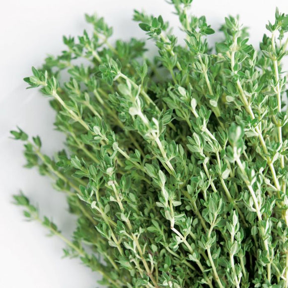 Thyme (Common) (Seeds)