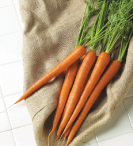 Carrot - Triton Hybrid (Seeds)