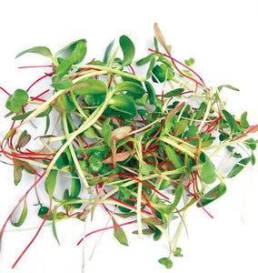 2 Week Blend Microgreen Sprouts - 50 gm
