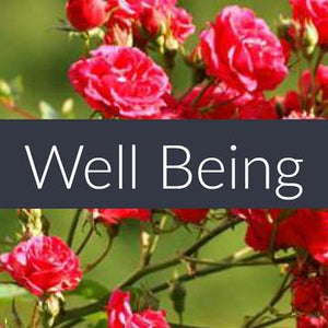 Essential Oil - Well Being