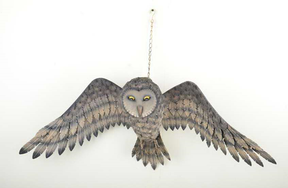 Wall Art - Flying Owl