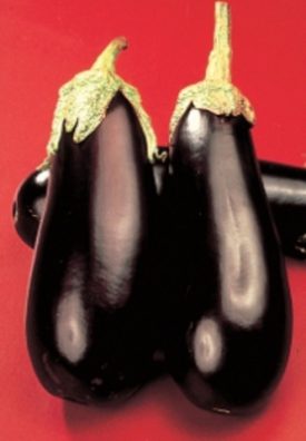 Eggplant - Black Beauty (Seeds)