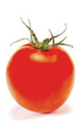 Tomato - Bonny Best Improved (Seeds)
