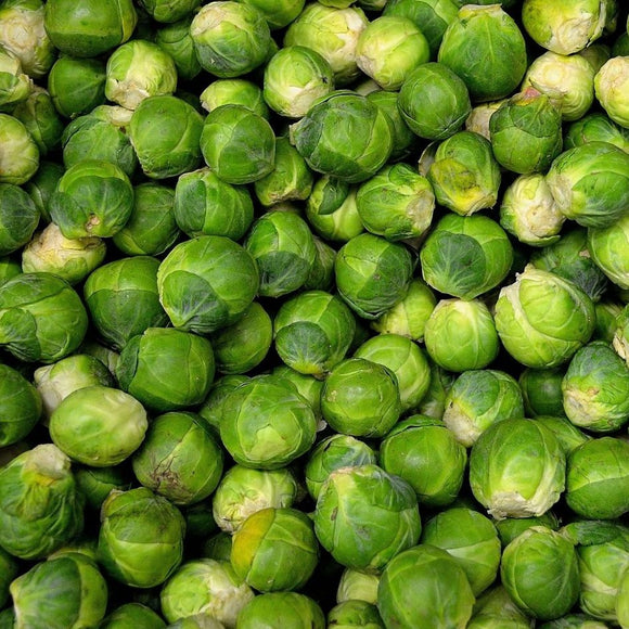 Brussels Sprouts - Long Island Improved (Seeds)