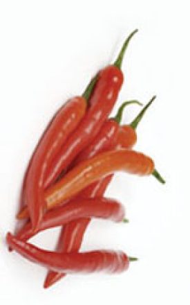 Pepper - Cayenne (Hot Pepper) (Seeds)