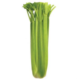 Celery - Tall Utah (Seeds)