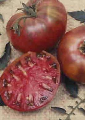 Tomato - Cherokee Purple (Seeds)
