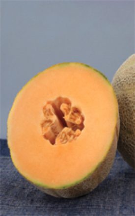Cantaloupe - Earlichamp Hybrid (Seeds)