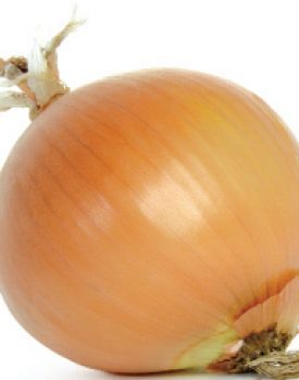 Onion - Early Yellow (Globe Onion) (Seeds)