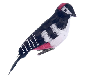 Bird - Woodpecker with Clip