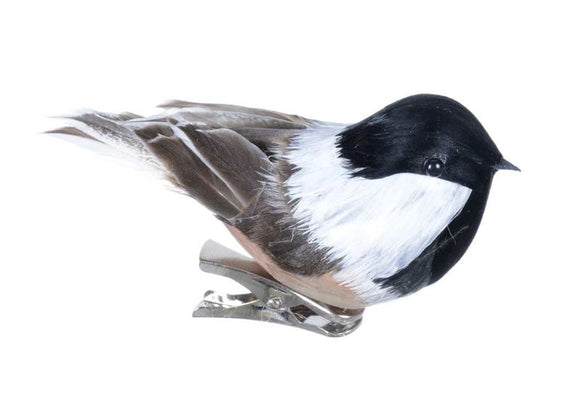 Chickadee on Clip