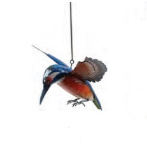 Bird - Hanging
