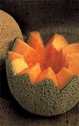 Cantaloupe - Hale's Best (Seeds)