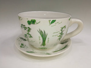 Cup & Saucer Planter - Herbs