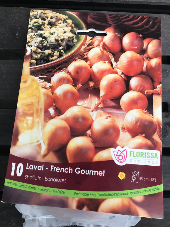 Shallots - French Gourmet