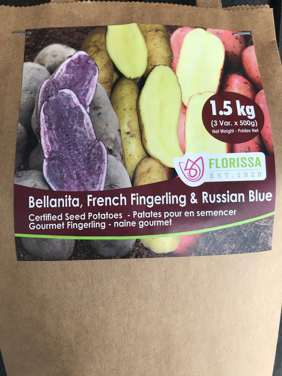 Potato - Gourmet Fingerling Combo (Seed Potatoes)