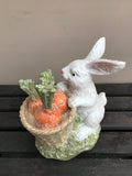 Easter Bunny - With Carrots in Basket
