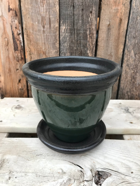 Pot and Saucer - Olive Green (Small)