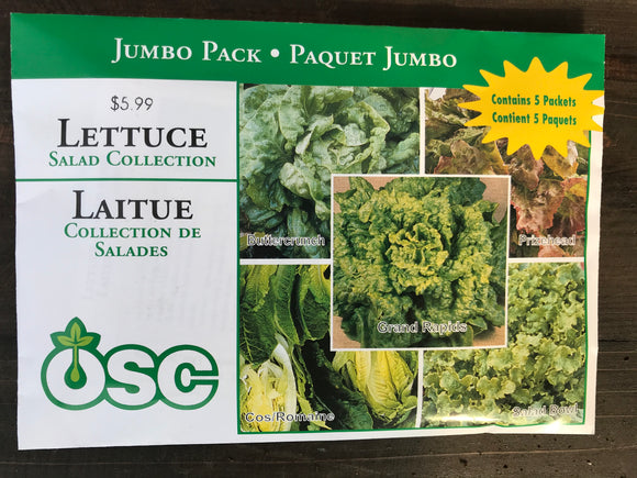Lettuce - Salad Collection (Seeds)