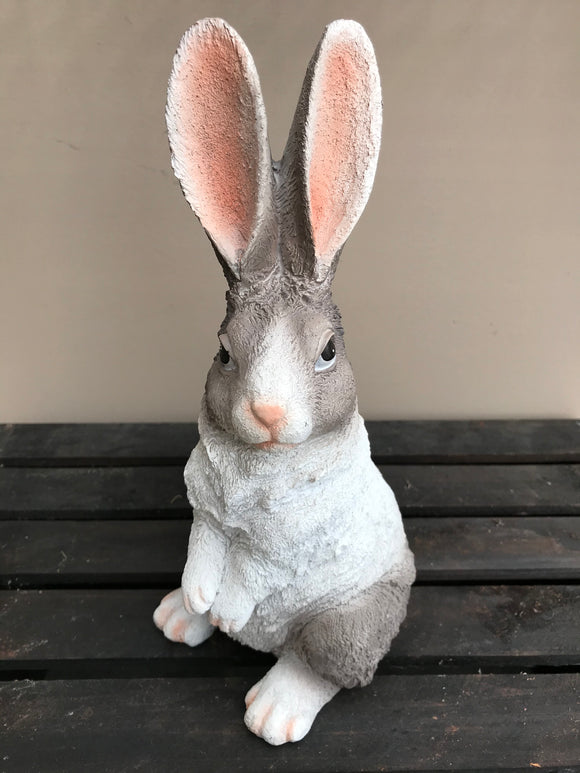 Bunny - Standing