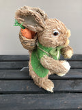 Bunny - Carrot in Backpack