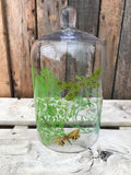 Cloche - Medium Glass Dragonfly