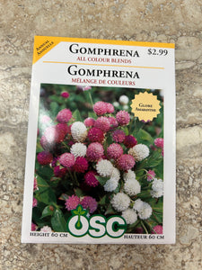 Gomphrena - All Colour Blend (Seeds)