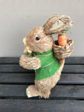 Bunny - Carrot in Backpack