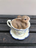 Bunny - In a Tea Cup