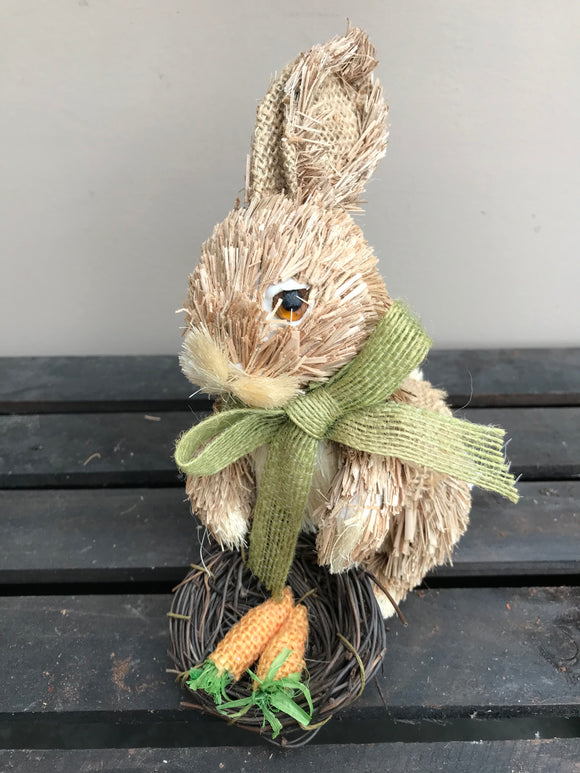 Bunny - With Carrot in Nest