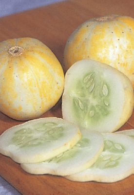 Cucumber - Lemon (Seeds)