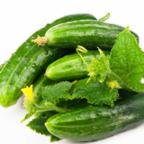 Cucumber - Marketmore (Seeds)