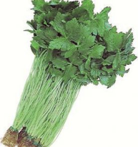 Parsley - Mitsuba Japanese Green (Japanese Parsley) (Seeds)