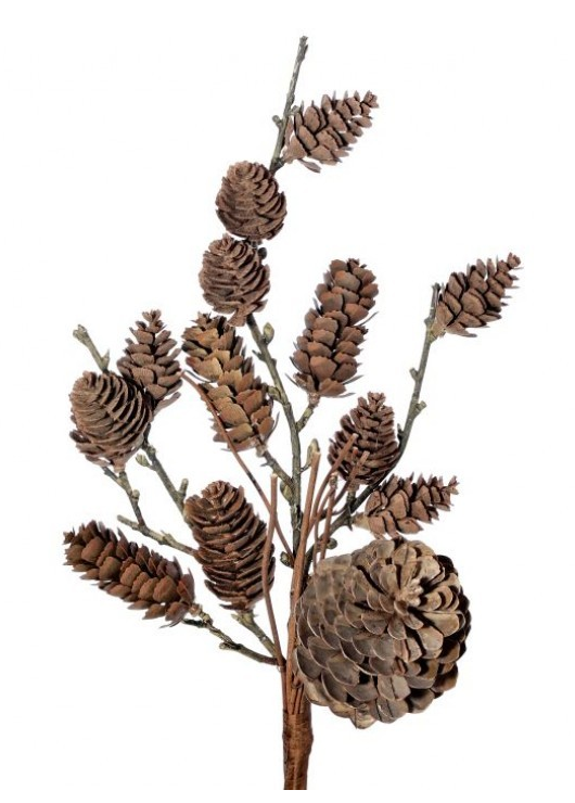 Spray - Pinecone Natural Brown