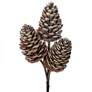 Pick - Pinecones