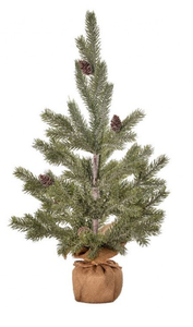 Noble Pine Tree - In Burlap Sack