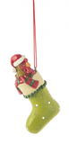 Ornament - Animals in Stockings (Assorted)