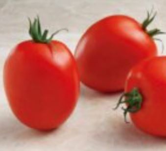Tomato - Namib Cocktail Hybrid (Seeds)