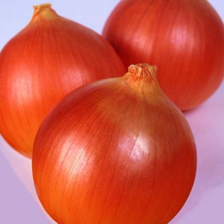Onion - Norstar Hybrid (Seeds)
