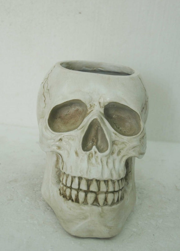Planter - Skull (Ivory)